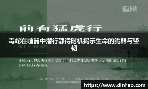 毒蛇在喧嚣中潜行静待时机揭示生命的脆弱与坚韧